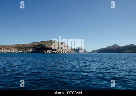 Tauchen im Meer von cortez Stockfoto