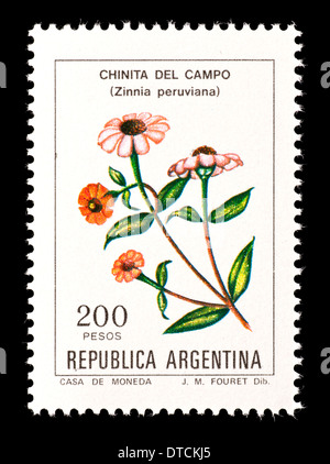 Briefmarke aus Argentinien mit Zinnien (Zinnia Peruviana) Stockfoto