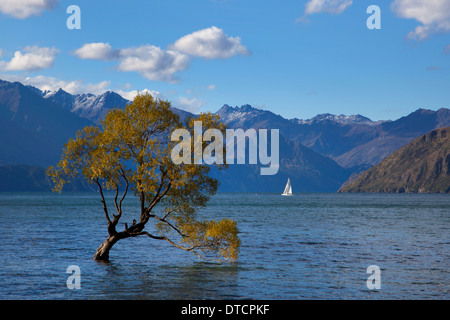 Segelboote am Lake Wanaka, Wanaka, Südinsel, Neuseeland Stockfoto