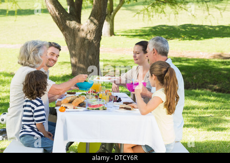 Großfamilie mit Mittagessen in Rasen Stockfoto