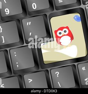 Eule auf Computer-Tastatur mit blauen Vögel Stockfoto