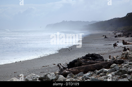 Waita Strand, Westküste, in der Nähe von Haast, Südinsel, Neuseeland Stockfoto