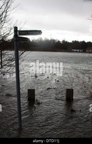 Chertsey, Surrey, UK. 15. Februar 2014. Überfluteten Fußweg auf Chertsey Meads. Das Hochwasser ist aus dem nahe gelegenen Fluss Themse. Bildnachweis: Andrew Spiers/Alamy Live-Nachrichten Stockfoto