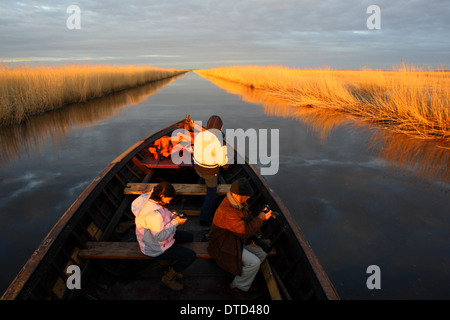 Fotografen, die ein Boot Ausflug am Kasari River, Matsalu Nationalpark, Estland Stockfoto
