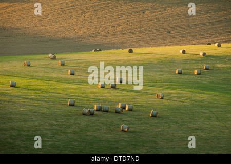 Heuballen auf der South Downs, East Sussex, England. Stockfoto