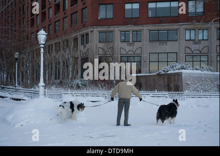 Fuß die Hunde in Battery Park City, einem Viertel in Manhattan, nach einem großen Schneesturm. Stockfoto
