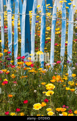 Beet, Blumenbeet, Blumen, Blumenwiese, Verkehr Zuflucht ...