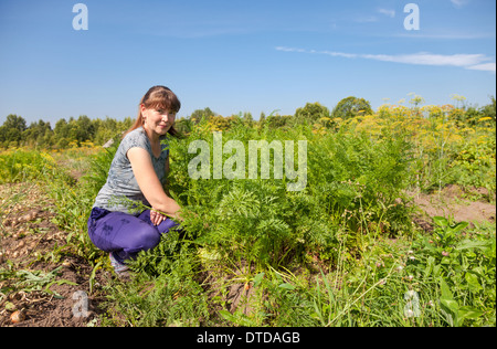 Junge Frau Gärtner hält eine Garbe von Karotten in ihrem Garten Stockfoto