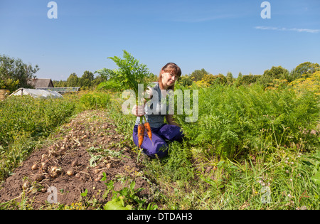Junge Frau Gärtner hält eine Garbe von Karotten in ihrem Garten Stockfoto