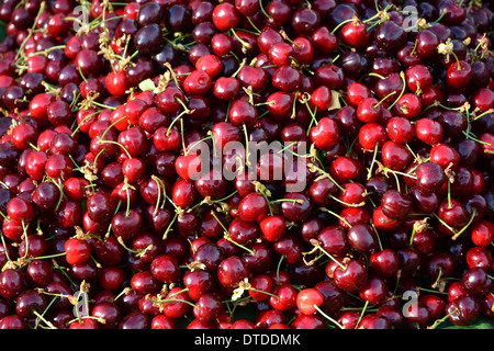 Frische Kirschen auf dem Markt Stockfoto