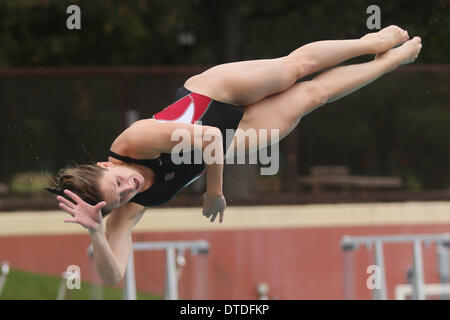 Stanford, Kalifornien, USA. 15. Februar 2014. Stanford Taucher Stephanie Phipps ersten Platz Finish in der Frauen drei Meter Tauchen und Zweitplatzierte im ein-Meter-half die Heimmannschaft gegen Top-Rankings Cal in NCAA schwimmen und Tauchen Wettbewerb, 15. Februar 2014 Credit: Jeremy Breningstall/ZUMAPRESS.com/Alamy Live News Stockfoto