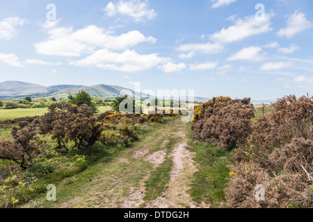 Ländliche Landschaft mit Pfad oder Weg zu Fuß Land Mynydd Illtud gemeinsamen am Berg Zentrum im Brecon Beacons National Park, South Wales Stockfoto