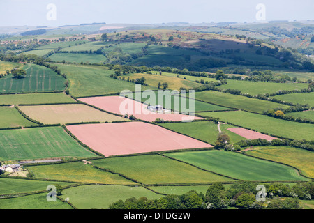 Patchwork-Felder am Mynydd Illtud häufig am Bergzentrum im Brecon Beacons National Park, South Wales, Australia Stockfoto