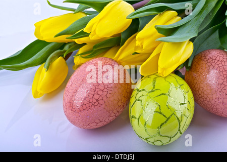 Ostereier und gelbe Tulpen auf hellem Hintergrund Stockfoto