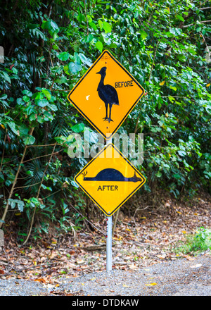 Gelbe Straße Zeichen Warnung Fahrer zu verlangsamen für Kasuar beim Überqueren der Straße in der Daintree Rainforest Queensland Stockfoto