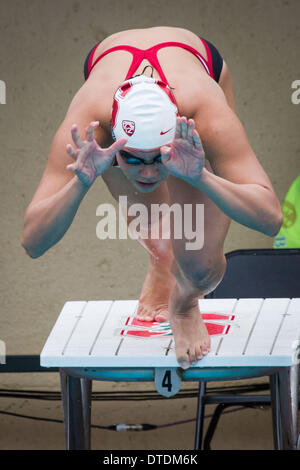 Stanford, Kalifornien, USA. 15. Februar 2014. Stanford University sen., FELICIA LEE, taucht Sie die Blöcke zu Beginn der Veranstaltung 100-Yard-Schmetterling in einer dual treffen gegen die University of California in Avery Aquatic Center. Lee gewann die Veranstaltung und Stanford treffen 167 bis 133. Bildnachweis: Tracy Barbutes/ZUMA Wire/ZUMAPRESS.com/Alamy Live-Nachrichten Stockfoto