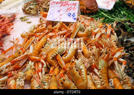 frische Garnelen auf Eis auf dem Markt Stockfoto