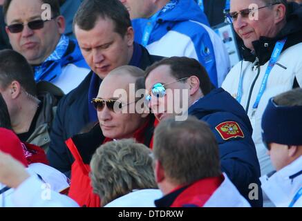 Russian Prime Minister Dmitry Medvedev (R) und der russische Präsident Vladimir Putin besuchen die Männer? s 4 x 10 km Staffelwettkampf in Laura Langlauf Ski & Biathlon Center an die Olympischen Spiele 2014 in Sotschi, Krasnaya Polyana, Russland, 16. Februar 2014. Foto: Michael Kappeler/dpa Stockfoto