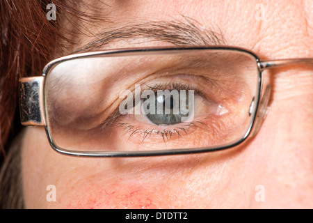 Nahaufnahme, alte Frauen blaue Auge und Brille Stockfoto