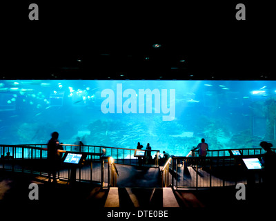 S.E.A Aquarium in Resorts World Sentosa Singapur Stockfoto