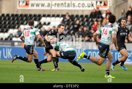 Swansea, Wales. 16. Februar 2014. RaboDirect Pro 12 - Fischadler V Benetton Treviso. Fischadler Dan Biggar in Angriff genommen wird. © Phil Rees/Alamy Live News Bildnachweis: Phil Rees/Alamy Live-Nachrichten Stockfoto