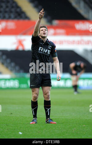 Swansea, Wales. 16. Februar 2014. RaboDirect Pro 12V - Fischadler Benetton Treviso Fischadler Dan Biggar prüft den Wind, bevor er am Ziel tritt. © Phil Rees/Alamy Live News Bildnachweis: Phil Rees/Alamy Live-Nachrichten Stockfoto