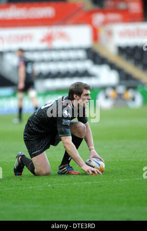 Swansea, Wales. 16. Februar 2014. RaboDirect Pro 12V - Fischadler Benetton Treviso Fischadler Dan Biggar setzt den Ball tritt er am Ziel. © Phil Rees/Alamy Live News Bildnachweis: Phil Rees/Alamy Live-Nachrichten Stockfoto