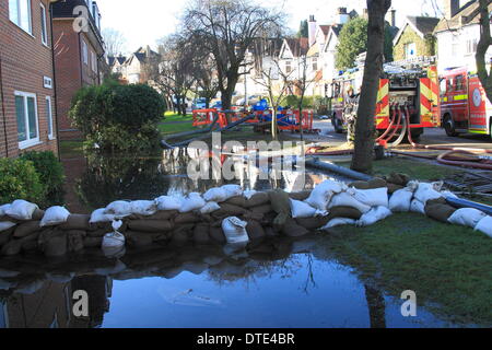 Sonntag, 16. Februar weiter Feuerwehr Pumpe Wasser abseits der Straßen rund um Purley in London. Dutzende Feuerwehrleute haben Wasser Weg von Eigenschaften, die von Hochwasser betroffenen gepumpt. Temporären Gehwege wurden bereitgestellt, um Bewohner bewegen zu lassen. Bildnachweis: HOT SHOTS/Alamy Live-Nachrichten Stockfoto