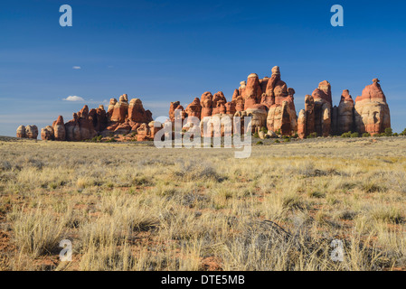 Chesler Park, The Needles Sektion des Canyonlands National Park, Utah, USA Stockfoto