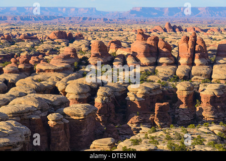 Felsformationen, The Needles Sektion des Canyonlands National Park, Utah, USA Stockfoto