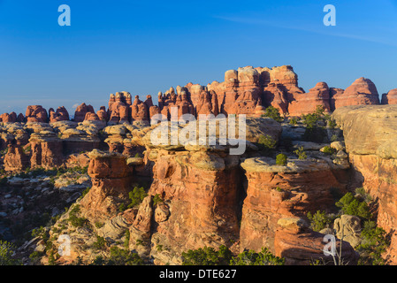 Felsformationen, The Needles Sektion des Canyonlands National Park, Utah, USA Stockfoto
