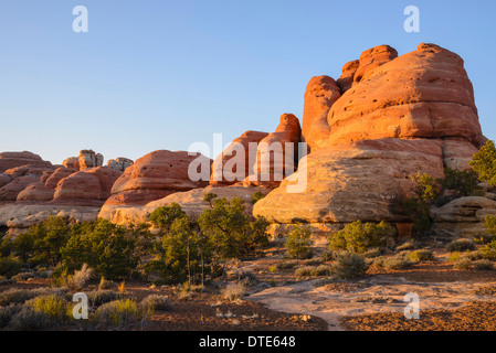 Felsformationen, The Needles Sektion des Canyonlands National Park, Utah, USA Stockfoto