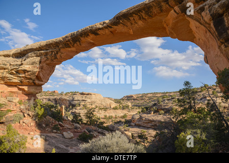 Owachomo Brücke, Natural Bridges National Monument, Utah, USA Stockfoto