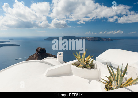 Auf dem Dach Pflanzen am Haus in Santorini Griechenland Stockfoto
