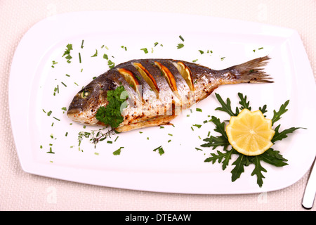 Gegrillte Dorade Fisch, Zitrone, Rucola auf weißen Teller, Ansicht von oben Stockfoto