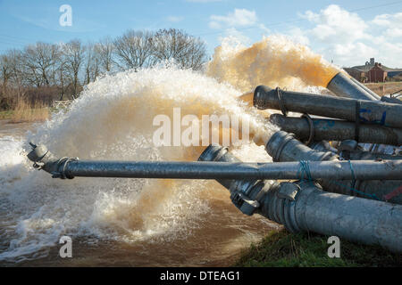 Burrowbridge, UK. 16. Februar 2014. Weitere Dieselpumpen Beihilfen Saltmoor Pumping Station am Burrowbridge am 16. Februar 2014. Fuchsbau prahlen kann hinter den Rohrleitungen zu sehen. Die Umweltagentur haben entworfen, in zusätzliche Kapazitäten zu helfen loszuwerden, die riesige Menge an Wasser aus Northmoor in den Fluß Parrett. Riesige Überschwemmungen verursachte viele Bewohner in den Dörfern von Burrowbridge und den nahe gelegenen Moor zu ihren Häusern zu evakuieren. Bildnachweis: Nick Kabel/Alamy Live-Nachrichten Stockfoto