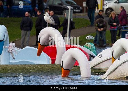 Canoe Lake Southsea Stockfoto