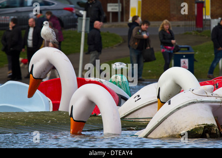 Canoe Lake Southsea Stockfoto