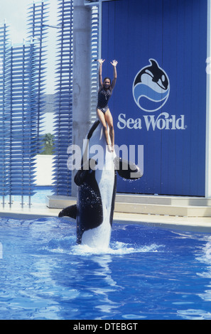 Killer Whale und Girl weibliche Trainerin Tina Soler im Alter von 21 Jahren bei Seaworld Orlando USA 1981 Stockfoto