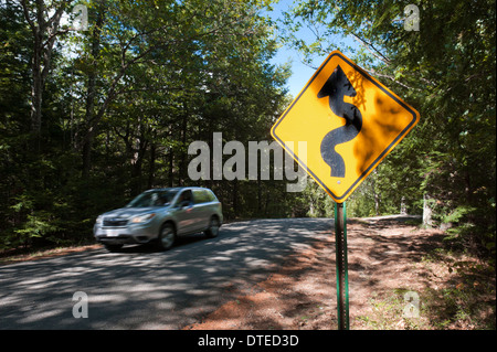 Kurvenreiche Straße Verkehrszeichen auf einem Waldweg. Stockfoto