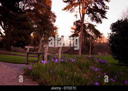 Bank in einem Park, Kew Gardens Stockfoto