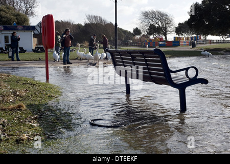hohe Wasserstände nach beispielloses Maß an Regen bei Kanu See Southsea England uk Stockfoto