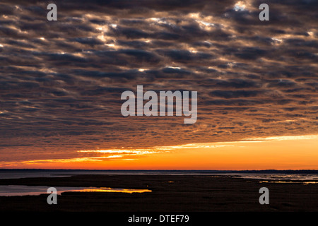 Sonnenaufgang über den Edisto Fluss und Sumpf im Edisto Island, South Carolina. Stockfoto