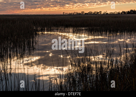 Sonnenaufgang über dem Botany Bay und Marsh in Edisto Island, South Carolina. Stockfoto