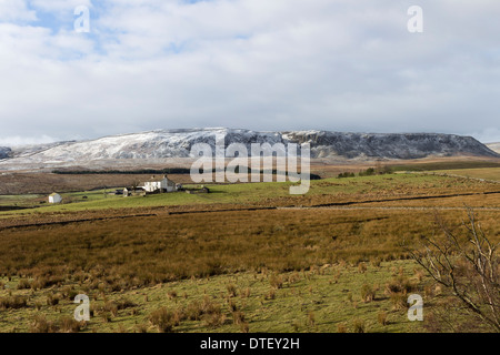 Cronkley Fell und Birk Rigg Farm aus hängenden Shaw Wald in Teesdale County Durham UK Stockfoto