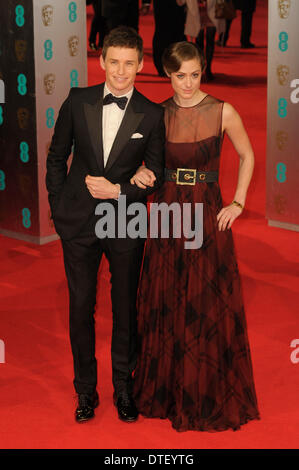 London, UK, 16.02.2014: roter Teppich Ankünfte an der EE British Academy Film Awards. Personen im Bild: Eddie Redmayne. Bild von Julie Edwards Stockfoto