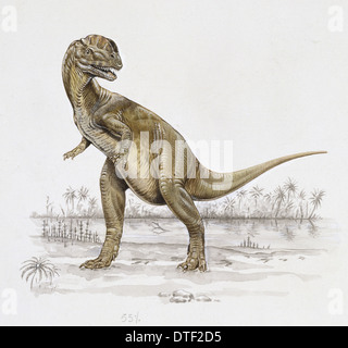 Dilophosaurus Stockfoto