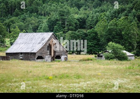 Verwitterte Scheune, Browns Creek Road, Marlinton, West Virginia Stockfoto