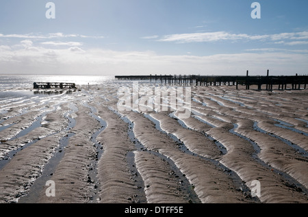 Austernbänke, Agon Coutainville Beach, Normandie, Frankreich Stockfoto