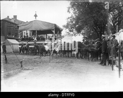 Dieses Foto aus dem Jahr 1913 zeigt Ponys in der Nähe des Bühnenpults auf der Oxford Street Fair in Oxford, Ohio. Die Szene fängt einen Moment im Leben der Stadt und der Stadt des frühen 20. Jahrhunderts ein und beleuchtet lokale Messen und die Rolle der Tiere bei öffentlichen Veranstaltungen. Stockfoto